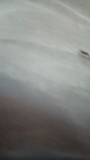 schroeder24  14-09-2021 Recorded Video Cam